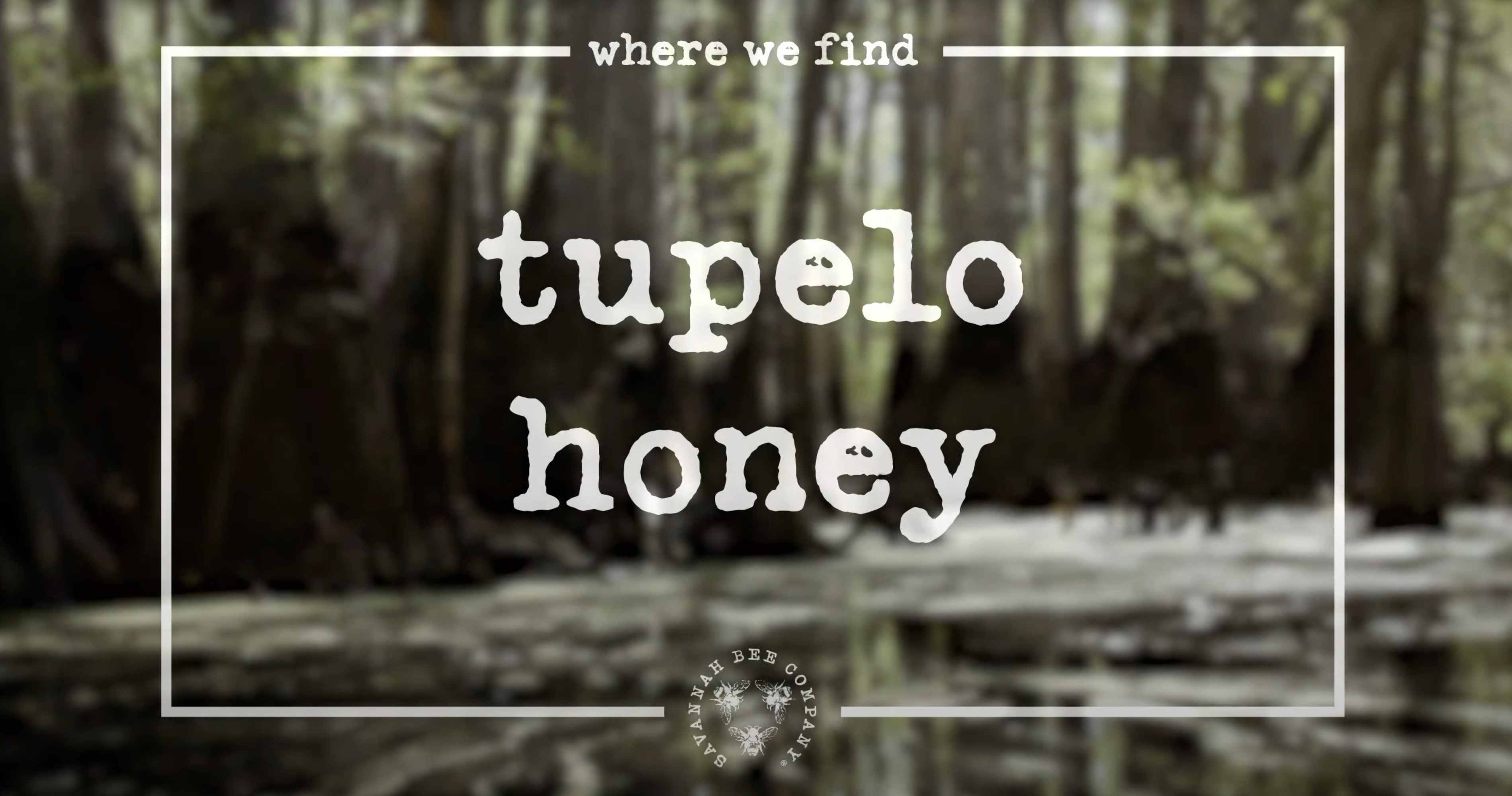 Tupelo Honey
