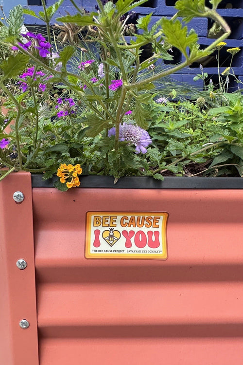 Bee Cause Sticker